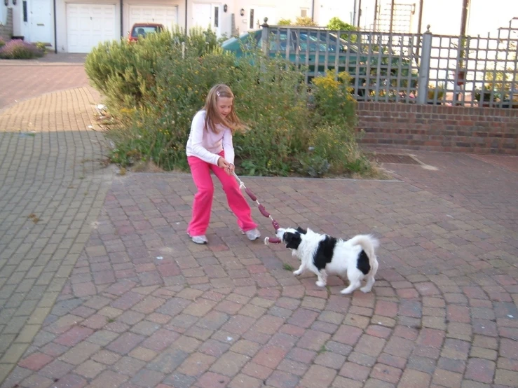 a girl in pink pants is playing with her dog