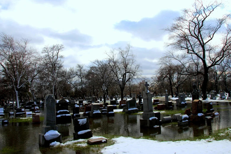 there are many graves on the cemetery floor