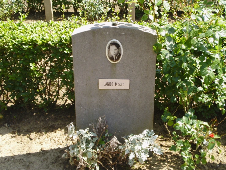 a memorial in a garden is shown in the sun