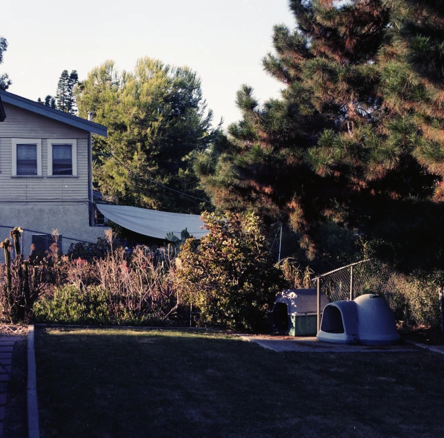 a house with a few trees and bushes in front