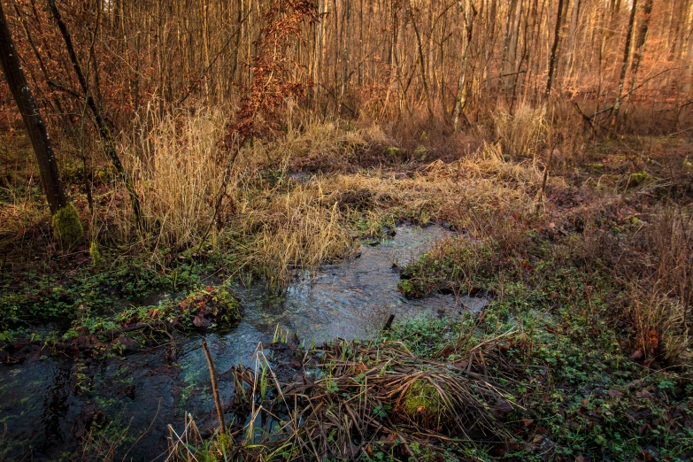 the water is running through the green patch