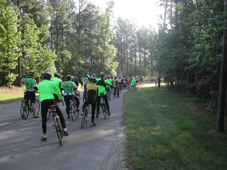 large group of people riding bikes down the road