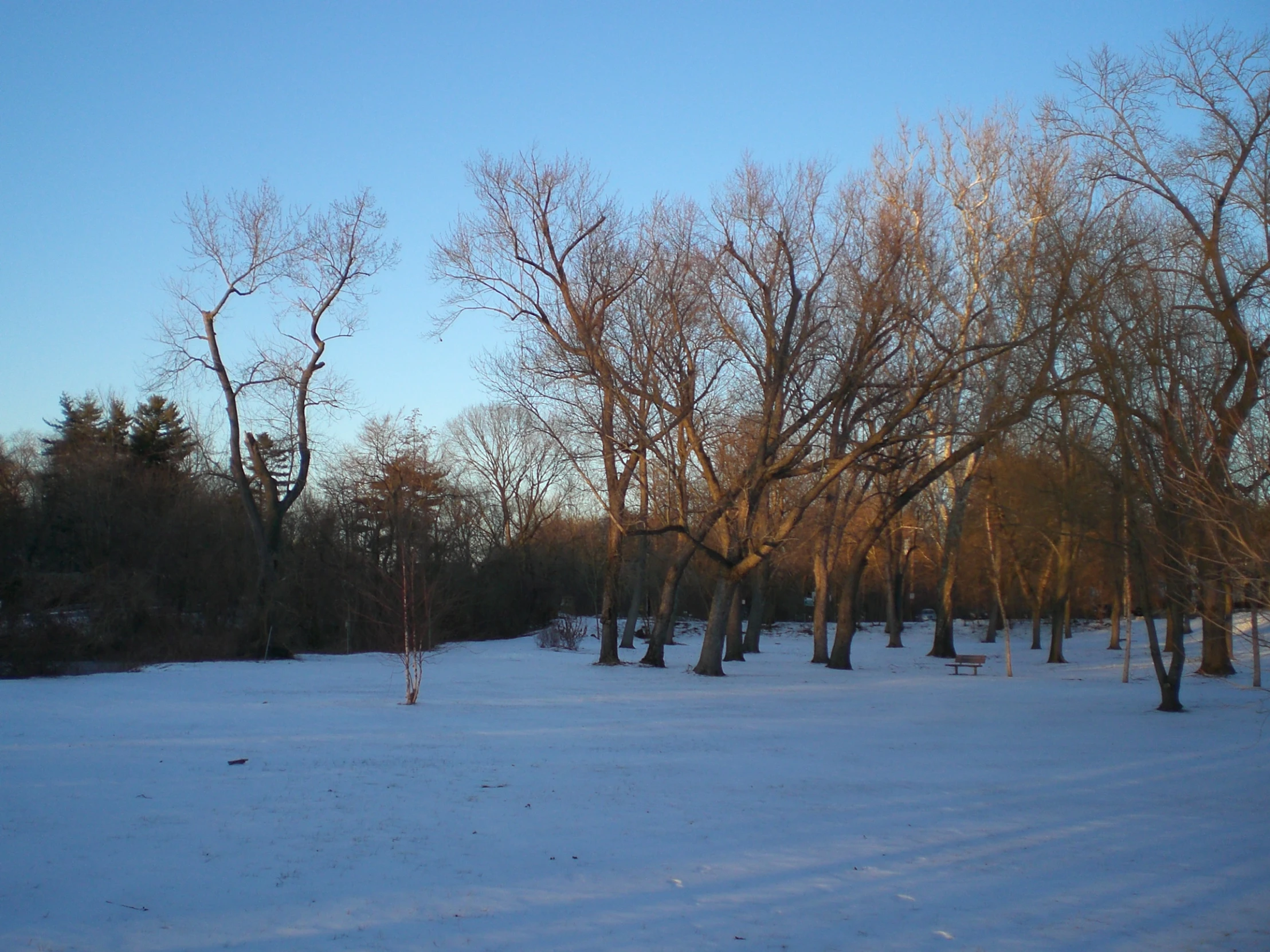 a snow covered field with trees in it