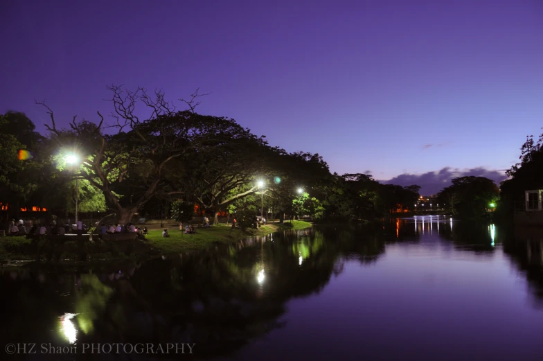 some water trees lights and a bench