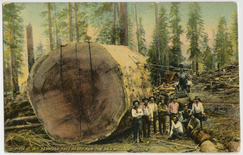 a group of men in front of a large tree trunk