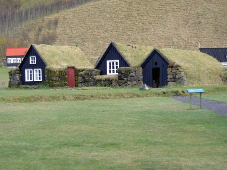 there are many houses next to the grass