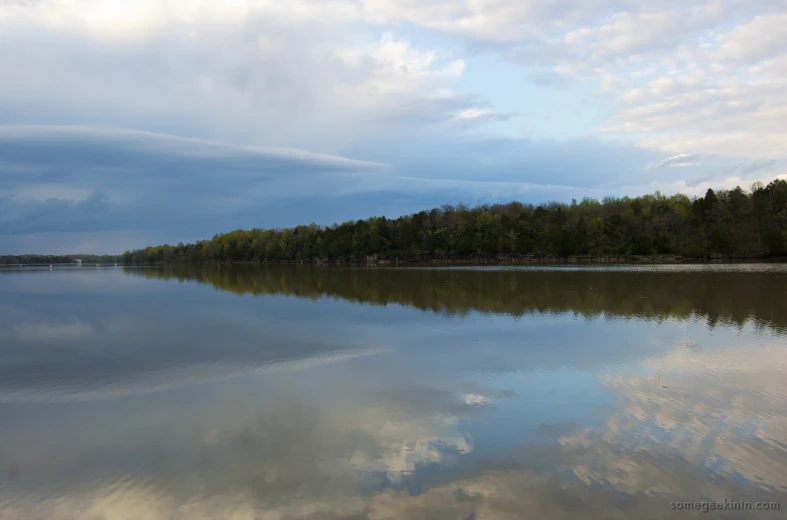 an empty pond and several trees with clouds in the sky