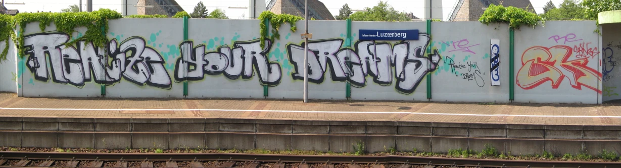 a group of graffiti writing on a white wall with green vines