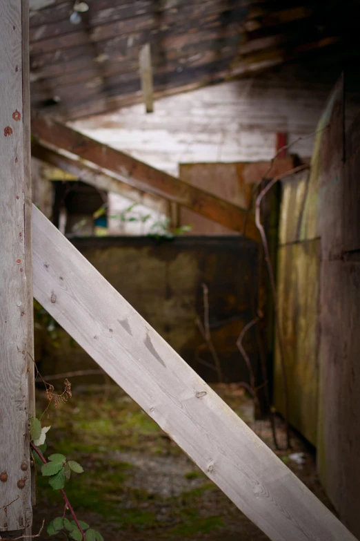 a door frame in a shed that is half open