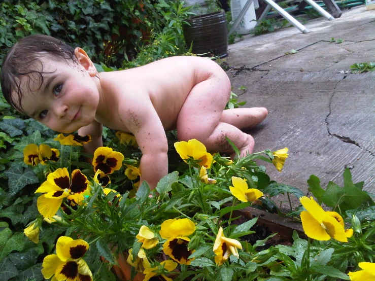 an adorable young toddler plays in the flowers