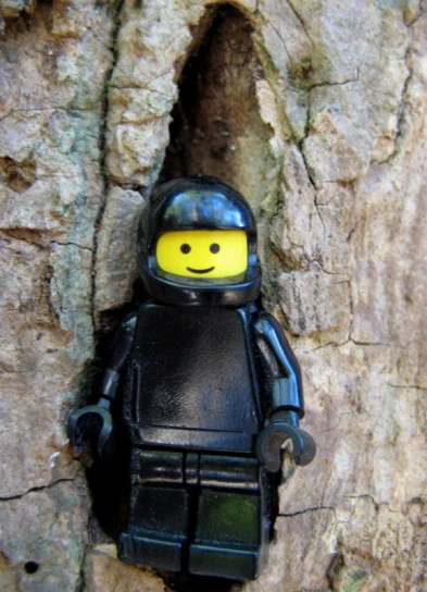a small lego figurine with a black outfit in a tree
