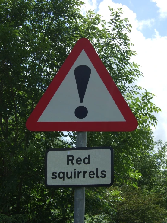 a red and white sign that says red squirrels