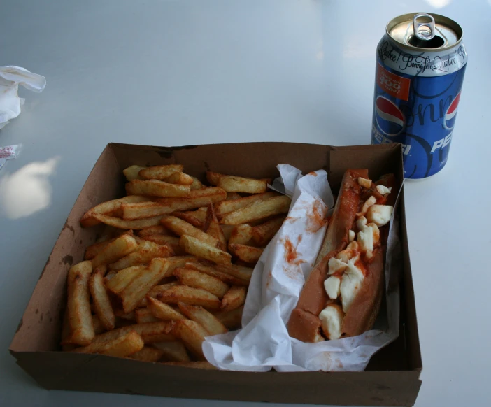 a close up of a  dog and some fries on a table