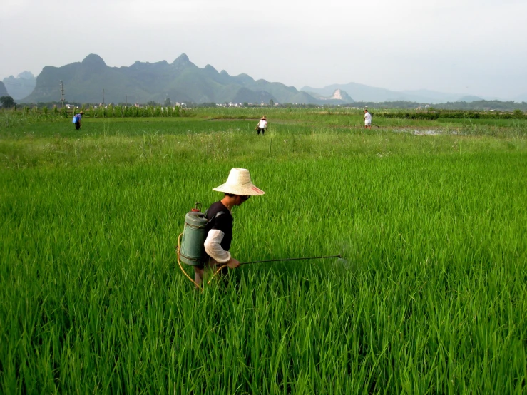 a man kneeling down in a field with green grass