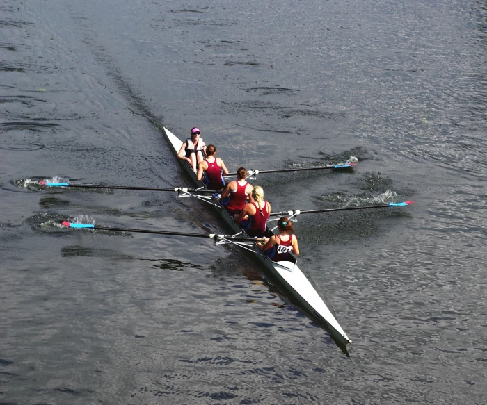 four rowers sit in the same boat, one is still