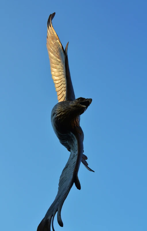 large bird spreading its wings high in the air