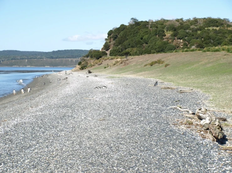 a long, rocky shore next to water and a hill