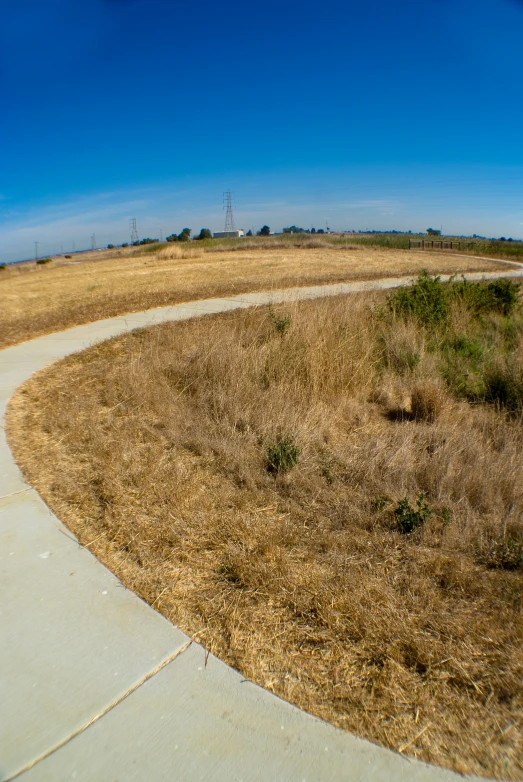 there is a small pathway that goes through some dry grass