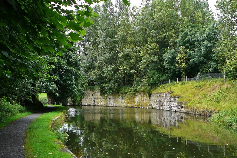 a body of water with trees near it