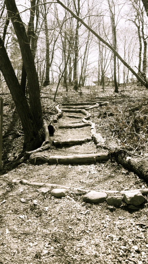 two people walking down a trail in the woods