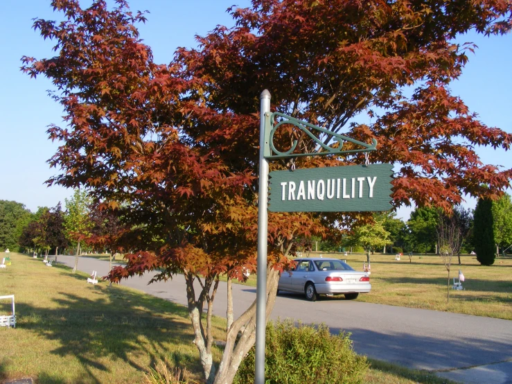 an image of a street sign with a car coming up the road