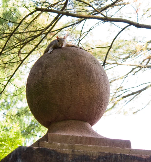 a statue of an object with a rodent sitting on top