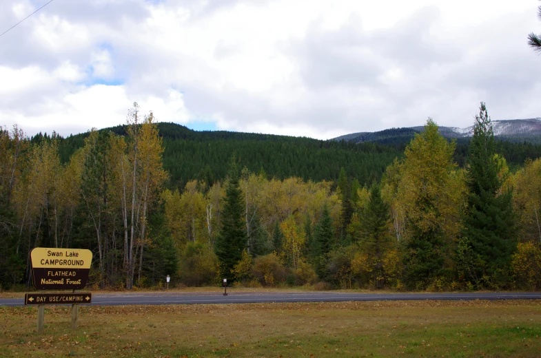 a rural highway with a forest in the background