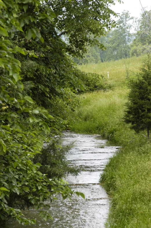 a stream runs into the middle of a green field