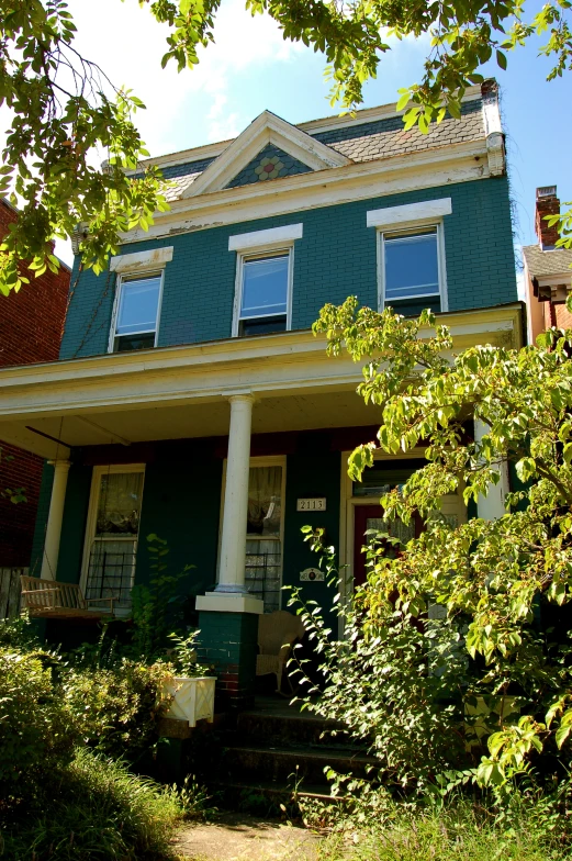 the blue house is located in front of some trees