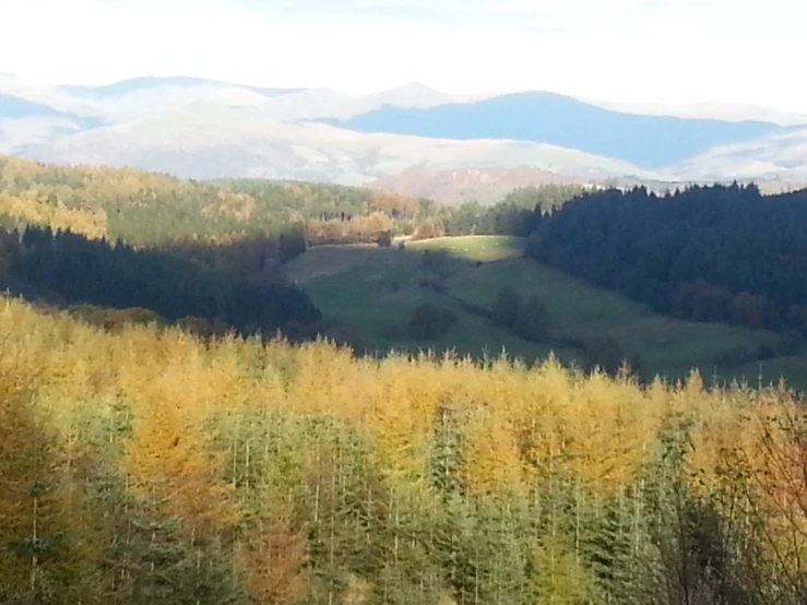 view from high up on a hill to mountains