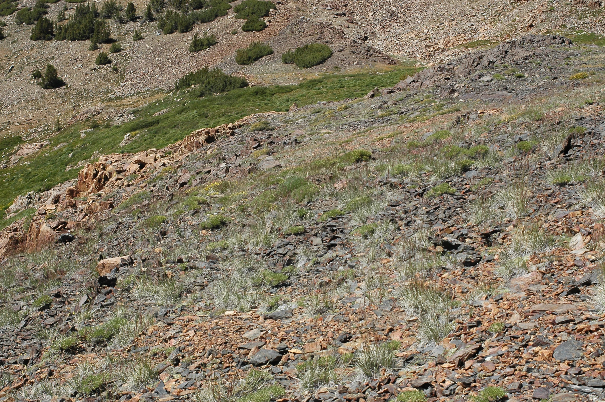 a mountain with green grass growing out of the rocks