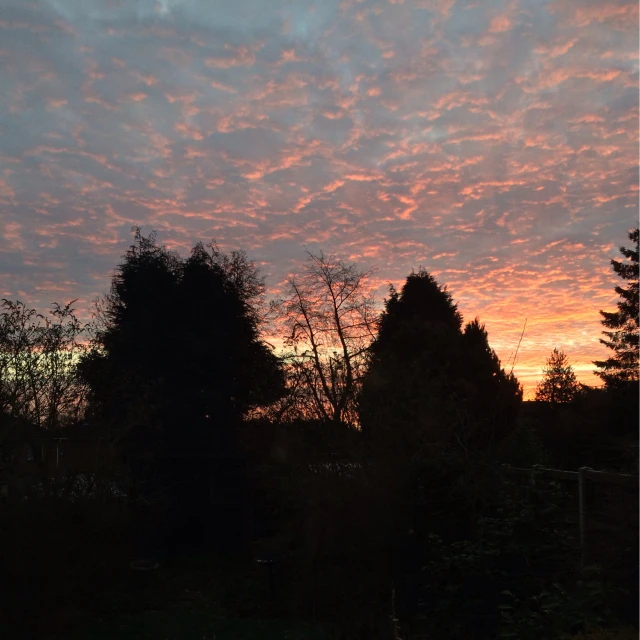 the sun sets behind some trees in a park