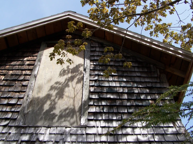 an old weathered roof is missing from an attic