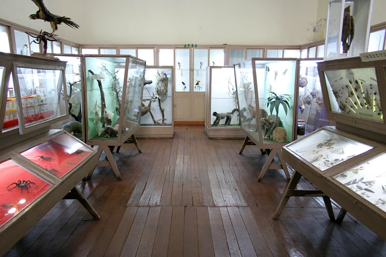 an empty room with some glass cases filled with insects