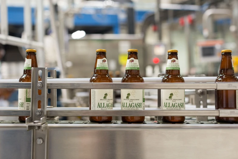 four brown and green bottles in a line on a conveyor belt