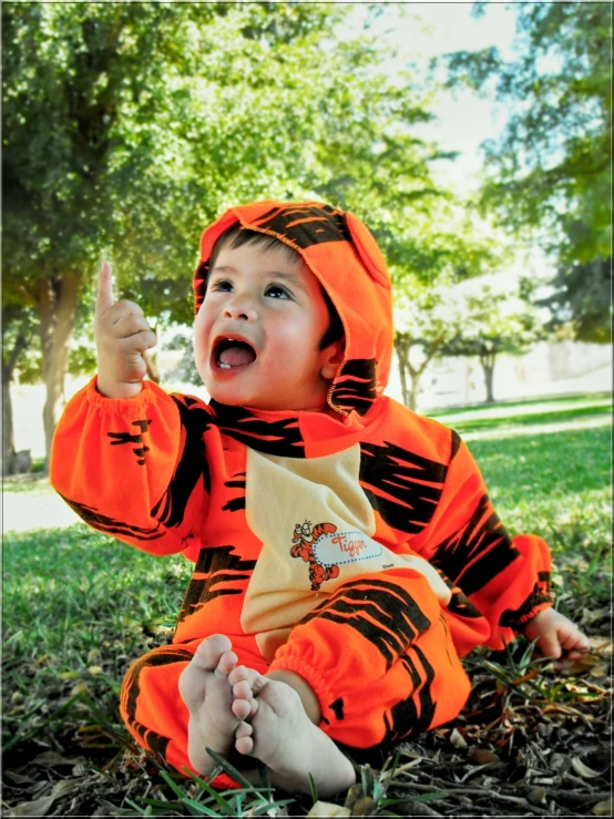 a baby boy dressed in a tiger costume