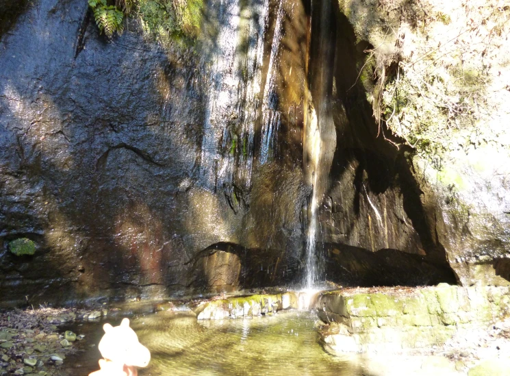 there is a small waterfall next to a stream