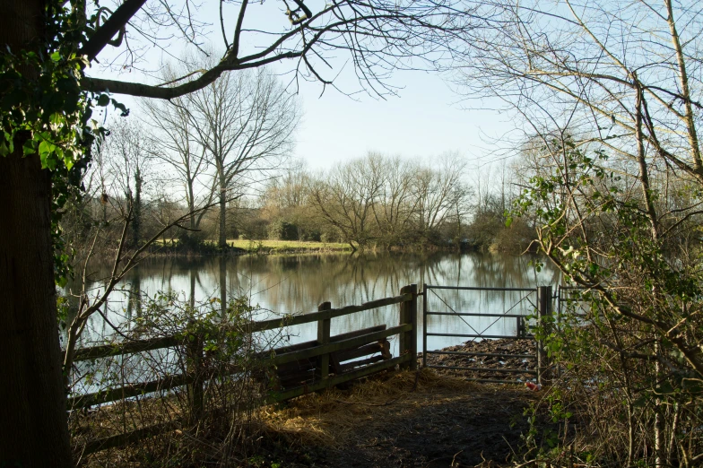 a bench is in front of a pond