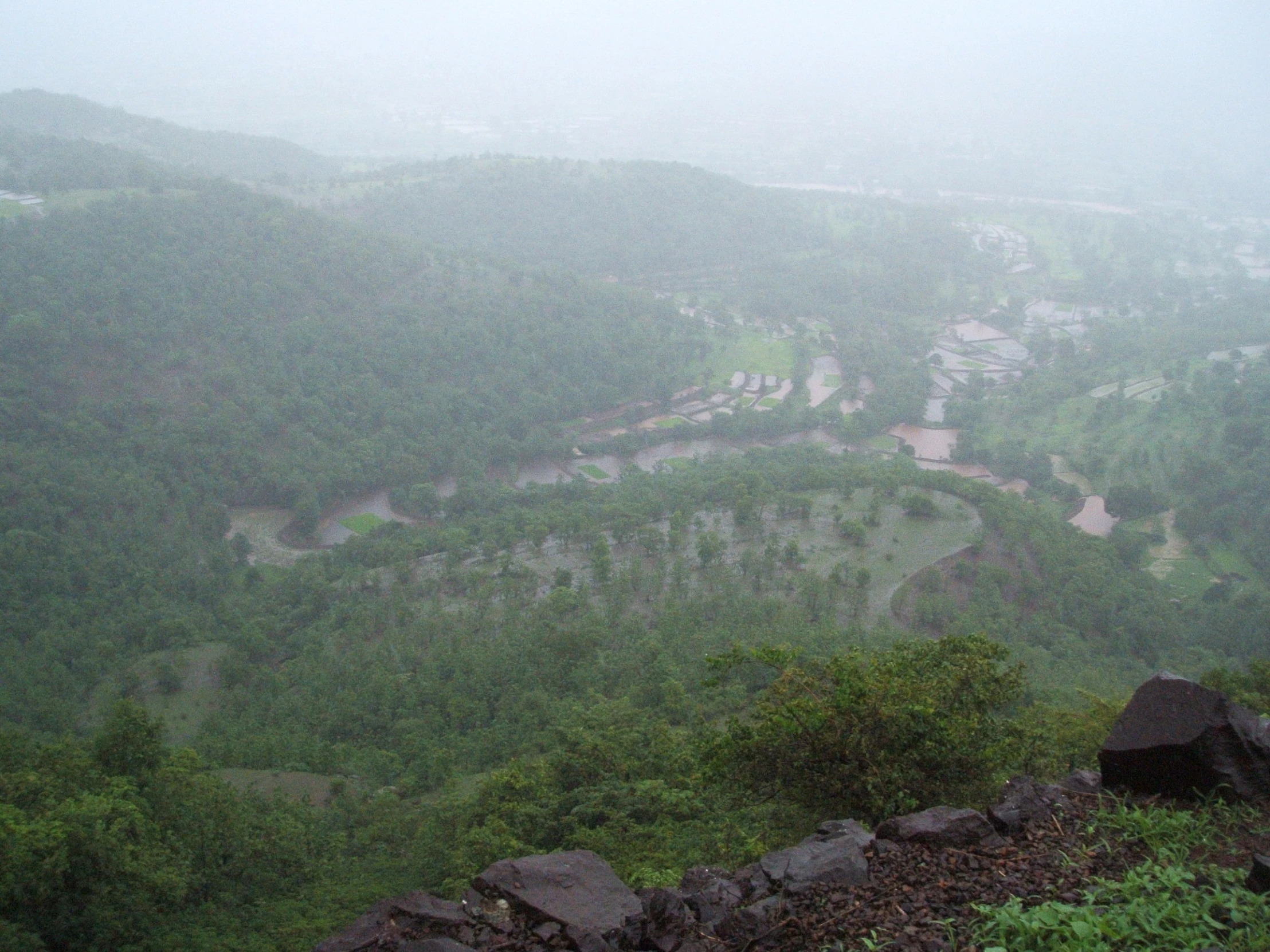 a mountain side with lots of green trees