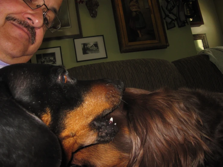 man wearing glasses and a mustache stands next to his brown dog