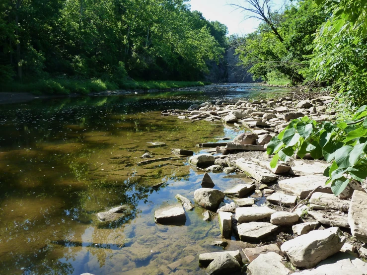 the view of a river in an area where there are very small rocks and green plants