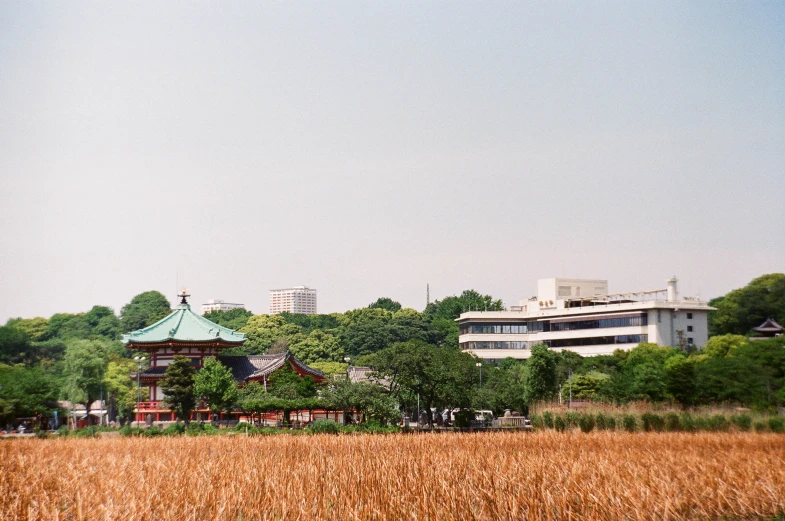 a view of a building in the distance with grass in front of it