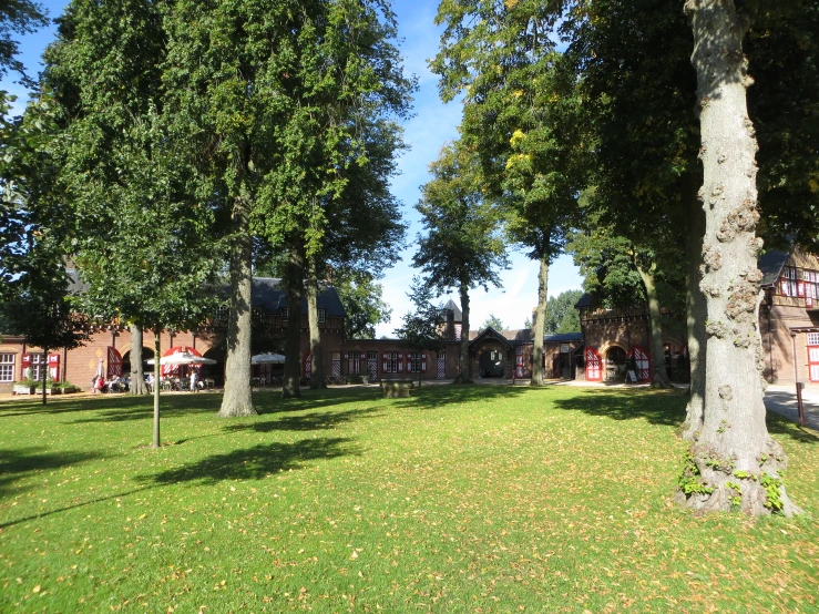 the park has green grass and many trees