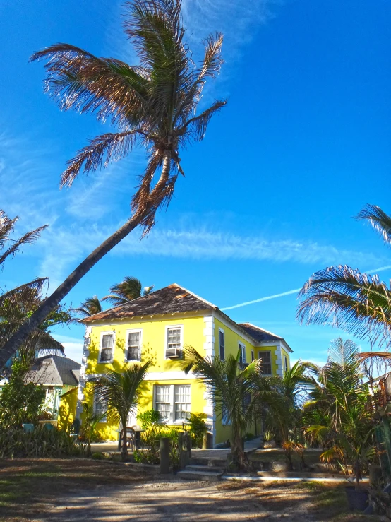 a yellow house is surrounded by palm trees