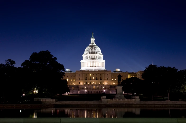 a lit up capitol building with reflection of tree at night