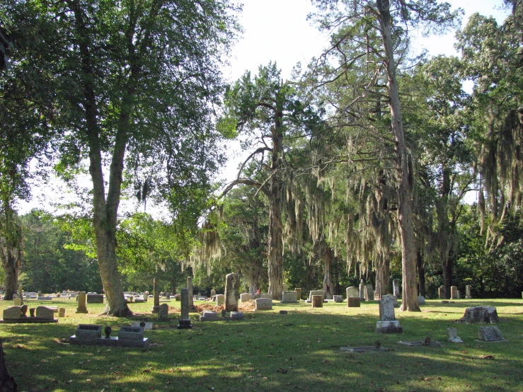a very large cemetery with trees and many headstones