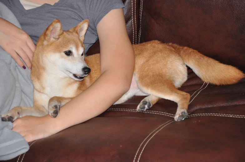 the woman is cuddling with her dog on the couch