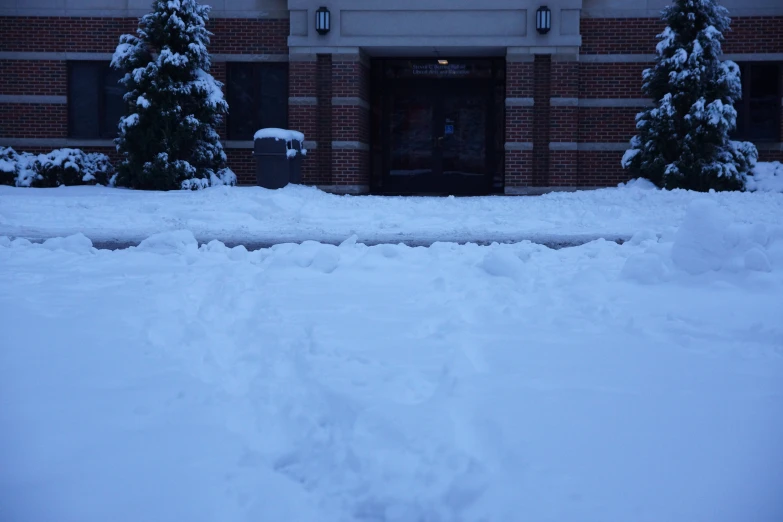 snow covers the street near a store and trees