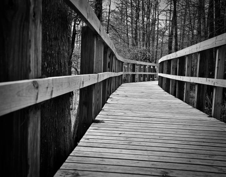 a wooden bridge spanning over trees into the woods