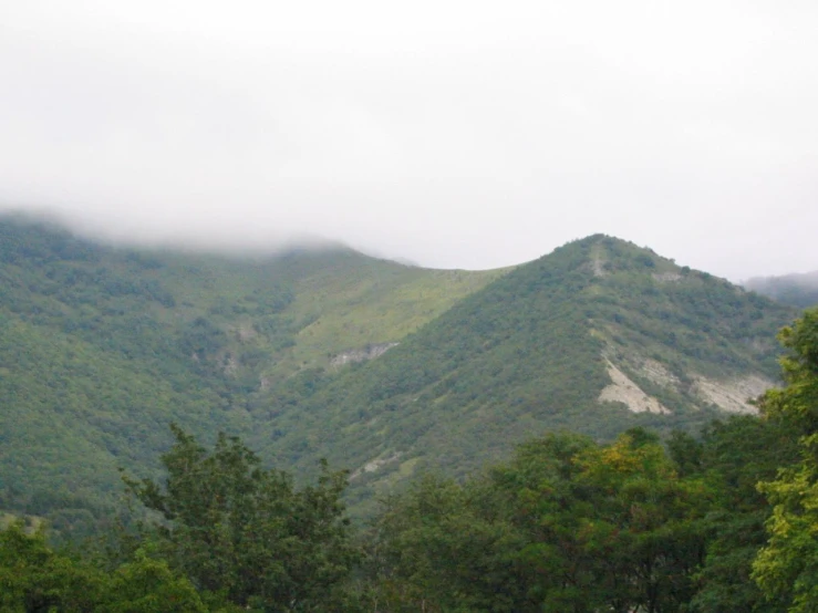 a hill with some trees on it and a few sheep standing by it